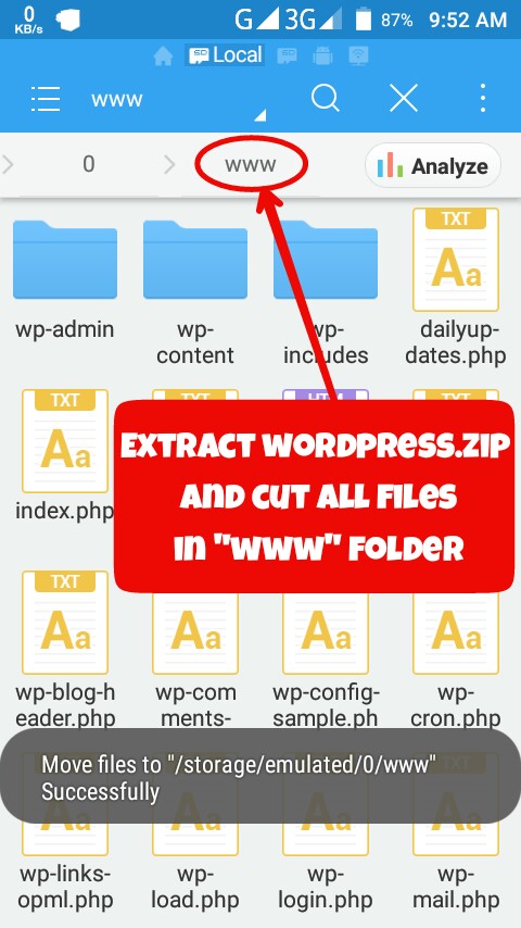 best wordpress offline editor