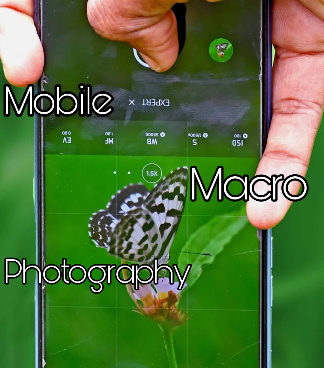 লেন্স ছাড়াই মোবাইল দিয়ে ম্যাক্রো ফটোগ্রাফি❤️। Macro Photography in mobile without lens