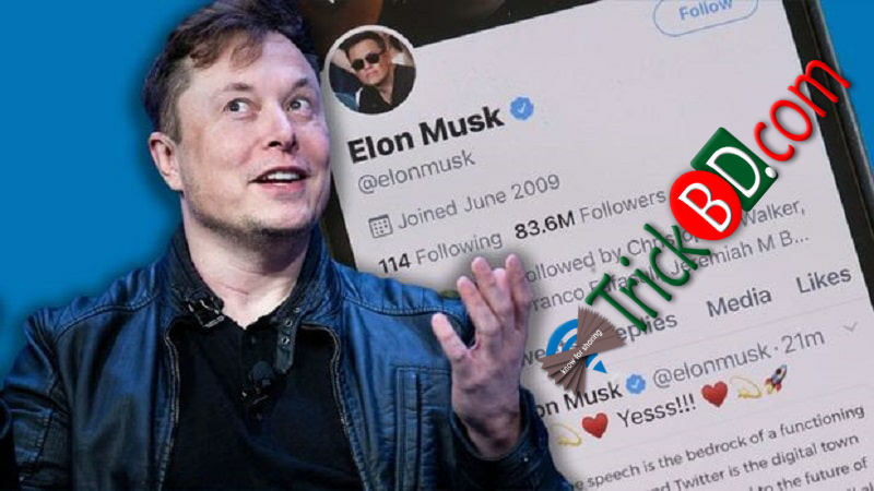 Twitter এর Home Page এ পরিবর্তন আনছেন Elon Musk