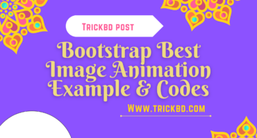 Bootstrap Best Image Animation Example & Codes