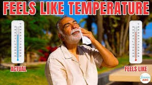 [VERY HOT]feels like তাপমাত্রা কি?অনুভূত vs আসল তাপমাত্রা;feels like VS actual temparature এক্সপ্লেইনড(A-Z);{Adhish-ABS}