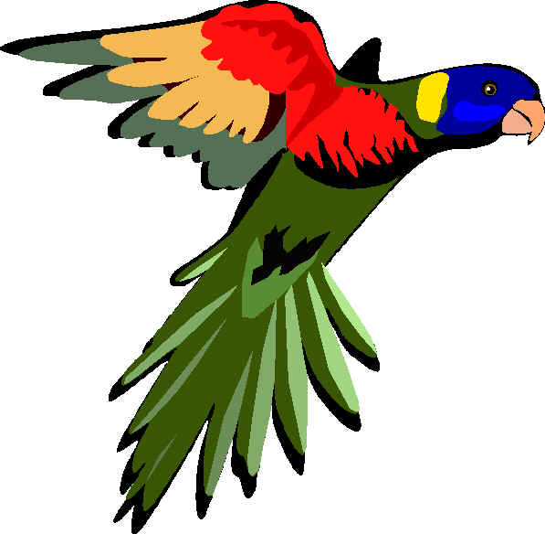 এবার java ইউজার দের জন্য নিয়ে আসলাম talking parrot কথাবলা টিয়া পাখি