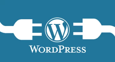 WordPress Plugins কি ! কিভাবে কাজ করে ? কিভাবে  Plugins ইন্সটল করে আরু জানুন !