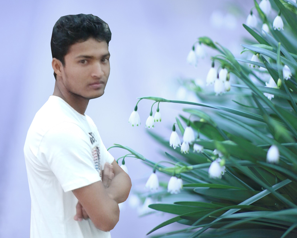 sdwahid