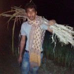 jabir