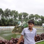 mastizaddi