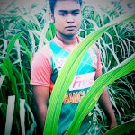 Md Nayeb Ali