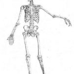 Saan