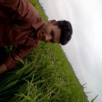 Ariful Islam