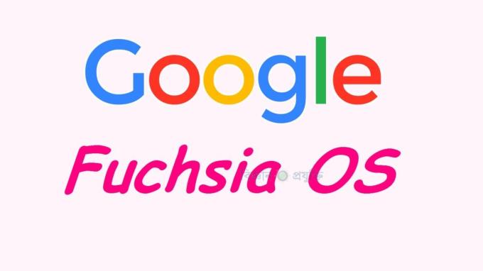 গুগল আনছে অ্যান্ড্রয়েডের পর Fuchsia OS