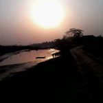 rajib