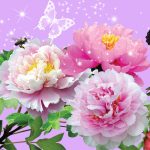 Sonjoy BD