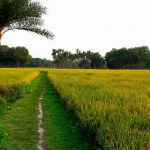 SHOHAG BISWAS