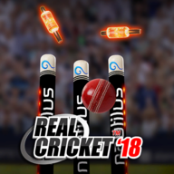 বর্তমানের সেরা গেইম Real Cricket 2018 রিভিউ এবং হ্যাকিং সিস্টেম।