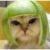 Avatar photo