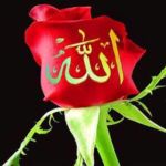 Atikul Islam