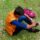 Avatar photo