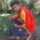 Avatar photo