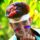 Avatar photo
