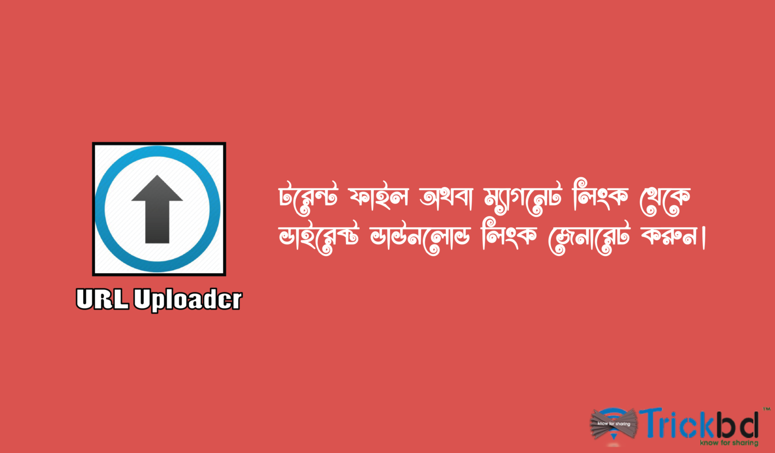 [Telegram Bot] খুব সহজেই যেকোন টরেন্ট(Torrent) ফাইল অথবা ম্যাগনেট লিংক থেকে ডাইরেক্ট ডাউনলোড লিংক জেনারেট করুন। ডাউনলোড করুন IDM সহ যেকোন ব্রাউজার দিয়ে। ?