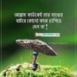 MD BASHAR