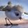 Avatar photo