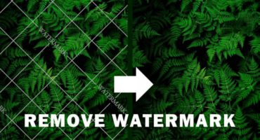 How to Remove Watermark From Any Photo