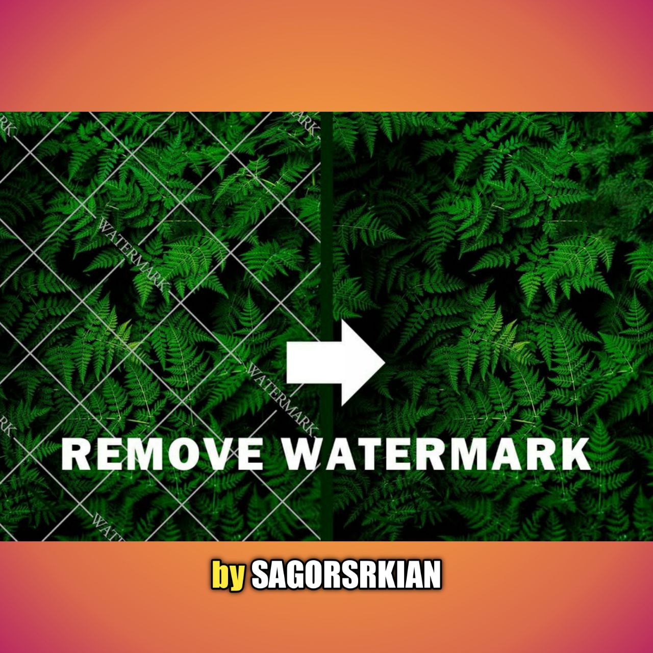 How to Remove Watermark From Any Photo