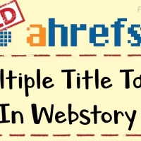 Webstory Multiple Title Tags Error - Solved