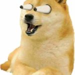 marshalshawon