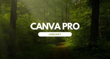 ০১ মাসের জন্য Canva Pro Team Invite 2024 January