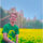 Avatar photo
