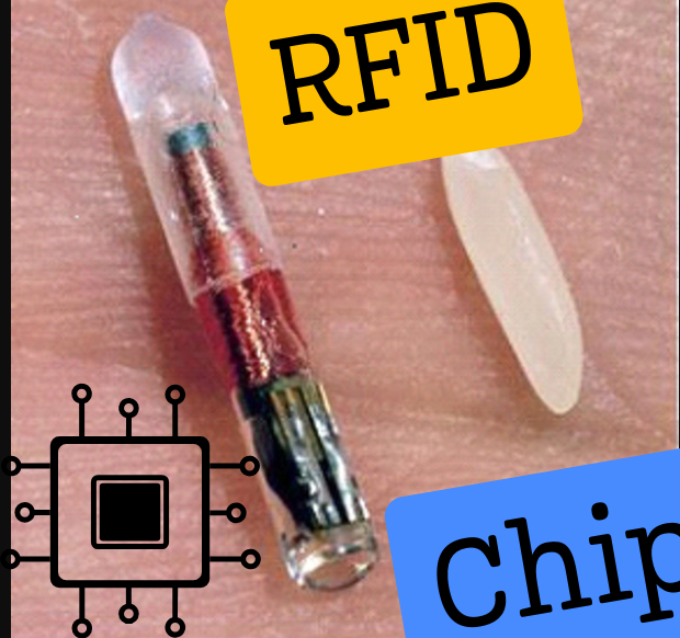 RFID chip কি ? কিভাবে হাতের মাইক্রোচিপ দিয়ে ডিজিটাল সব কাজ করা যায়? ?