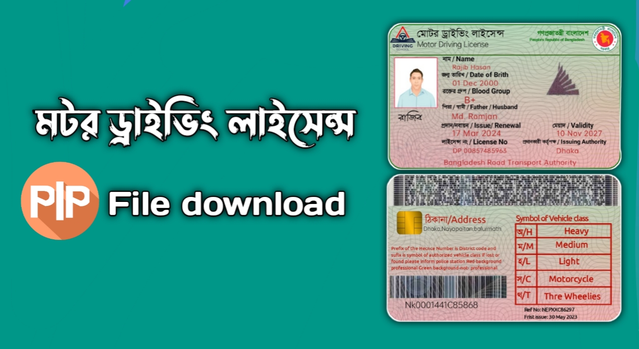 Motor driving licences plp file
