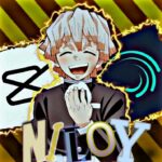 niloyexe