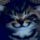 Avatar photo