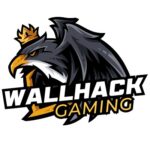 WallHack Gaming