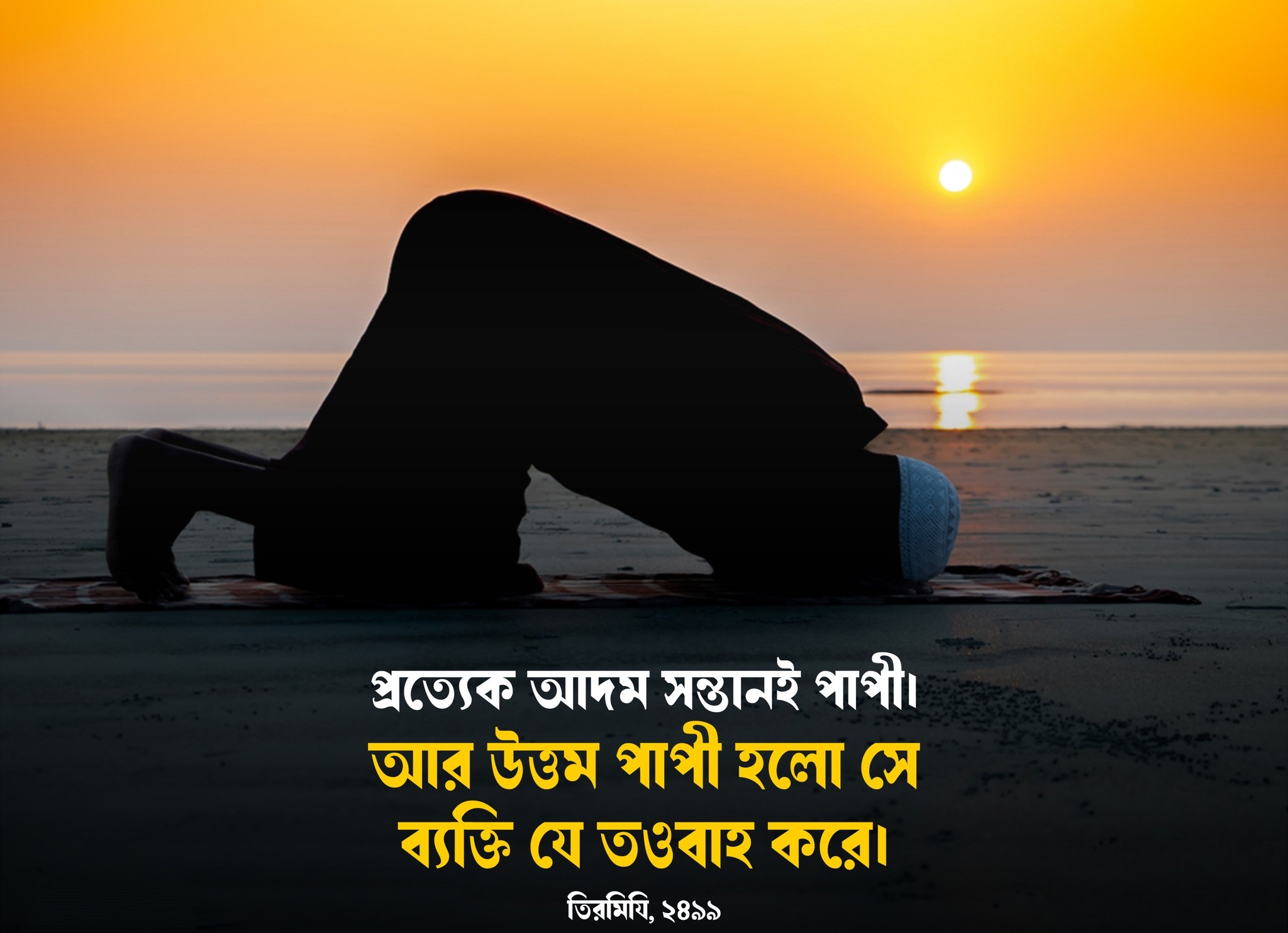 কেউ কেউ যখন ভুল বুঝতে পারে তা শুধরে নেয়