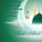 mdmizan