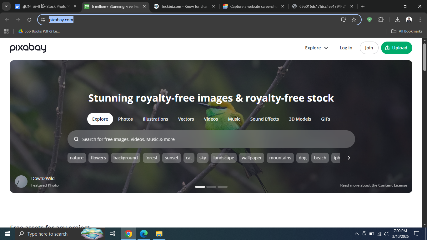 Pixabay