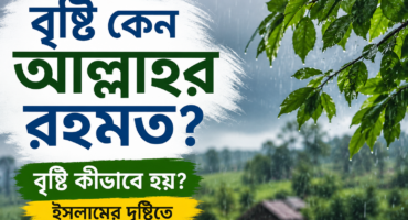বৃষ্টি কেন আল্লাহর রহমত? বৃষ্টি কীভাবে হয়—ইসলামের দৃষ্টি