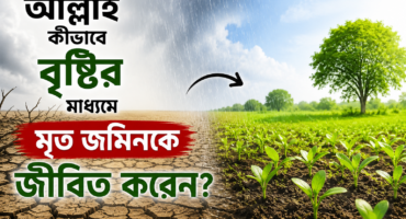আল্লাহ কীভাবে বৃষ্টির মাধ্যমে মৃত জমিনকে জীবিত করেন