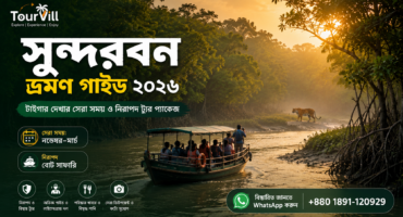 সুন্দরবন ভ্রমণ গাইড ২০২৬: প্রকৃতি, নিরাপত্তা ও ভ্রমণের সেরা টিপস