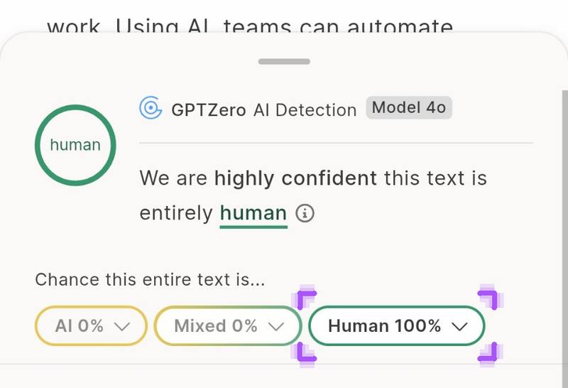 GPTZero রেজাল্ট: 100% Human