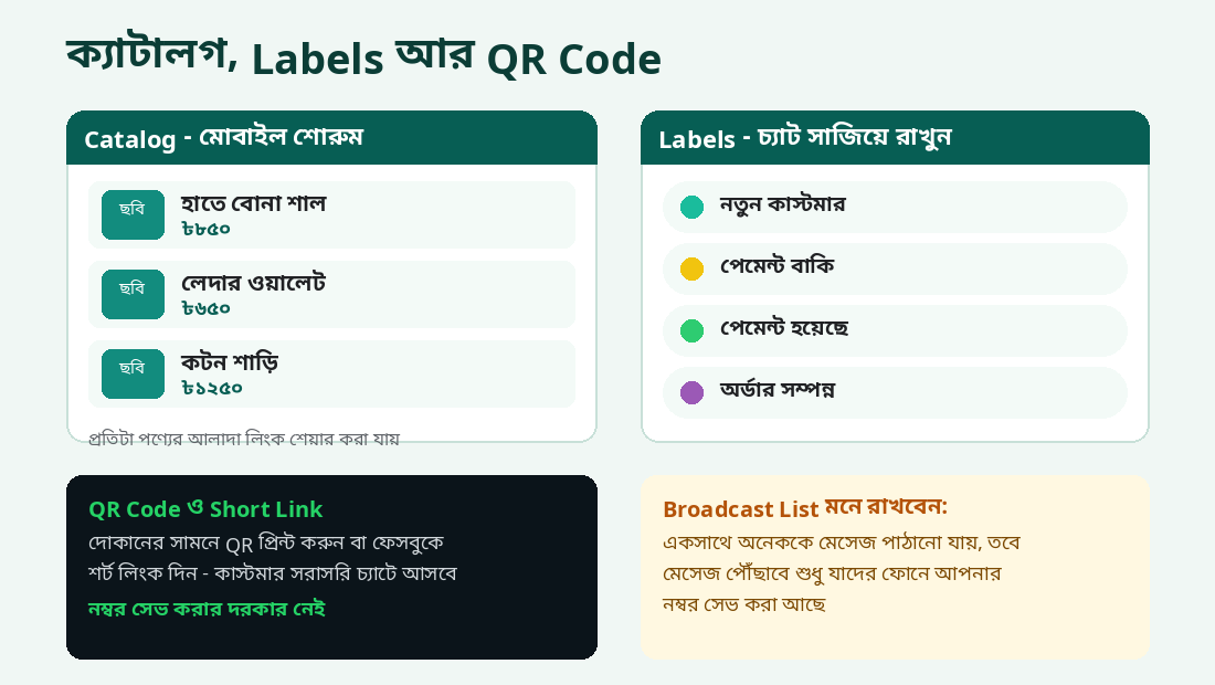 WhatsApp Business-এর ক্যাটালগ, লেবেল আর QR কোড ফিচার