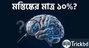 আপনার মস্তিষ্ক কি সত্যিই মাত্র ১০% ব্যবহার করে? বহুল প্রচলিত এই ধারণার আসল সত্য টা কি?