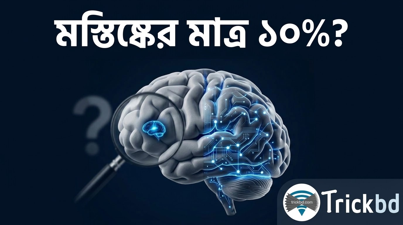 আপনার মস্তিষ্ক কি সত্যিই মাত্র ১০% ব্যবহার করে? বহুল প্রচলিত এই ধারণার আসল সত্য টা কি?